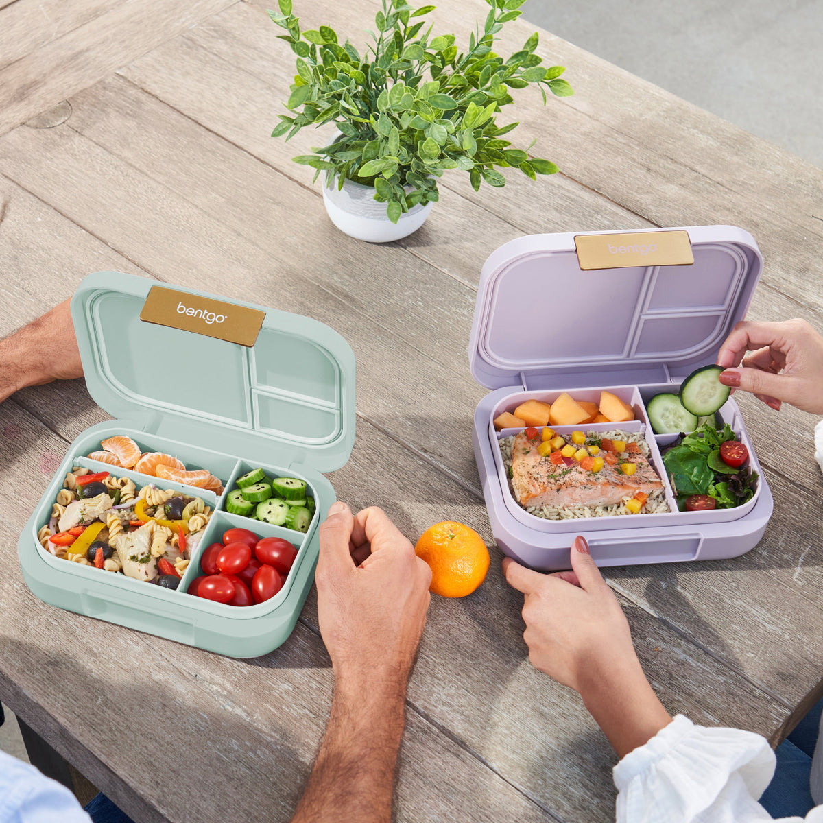 bentgo-modern-lunch-box-2-pack-e1 COSTCOBMCPRODUCTIMAGE_2.jpg